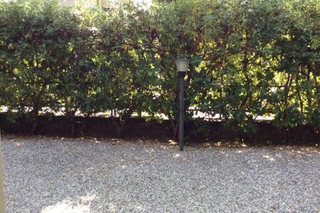 Residence Apuamare Pietrasanta Exterior foto